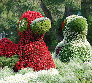 Jetzt sind die Herbstblumen dran!