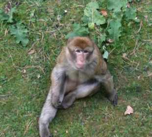 Zoo