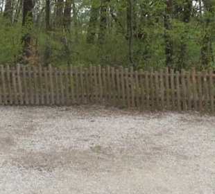 Südamerika Bereich - Naturbelassener Rundweg