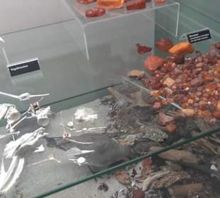 Meeresmuseum Stralsund