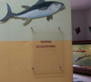 Naturhistorisches Museum