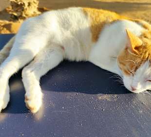 Hurghada Marina Boulevard