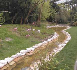 Weltvogelpark Walsrode