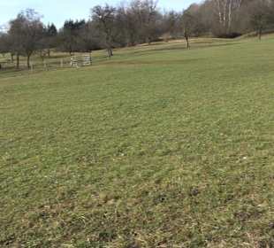 Grillplatz Tellerhecke