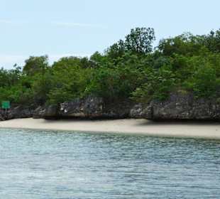 Bootsausflug nach Ile aux Aigrettes