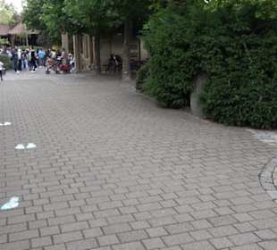 Erlebnispark Tripsdrill