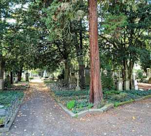 Rundgang über den Alten Friedhof in Bonn
