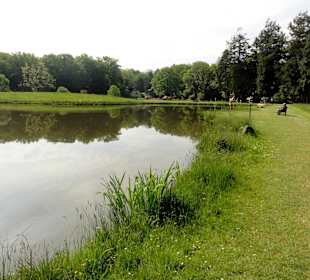 Teiche im Rhododendronpark