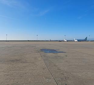 Flughafen Faro (FAO)