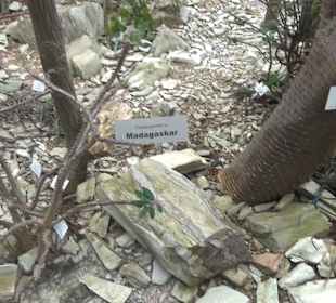 Tropicarium - Trockentropen