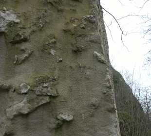 Wanderung rund um das Rusenschloss Gerhausen