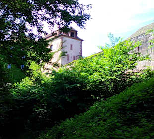 Schloss Lützelstein in La Petite Pierre