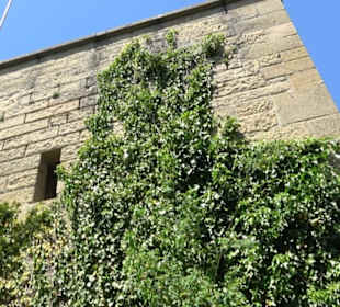 Schloss Herrenberg