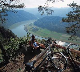 Donauschlinge in Schlögen