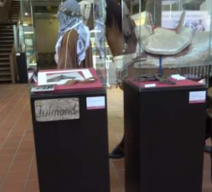 Gestütsmuseum Offenhausen