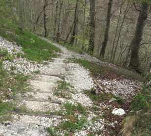 Burgruine Hohenhundersingen