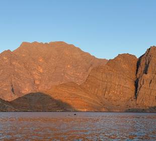Delfine Musandam