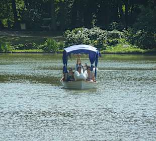 Lazienki Park Gondel Erwachsener - 2 Euro