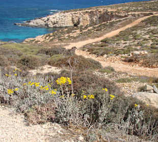 Auf der Insel Comino
