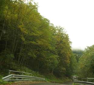 Alte nicht ausgebaute Strecke