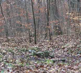 Natursteinpark