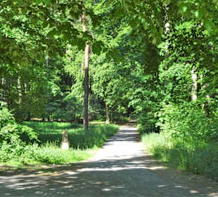 Rundgang durch den Hinüberscher Garten