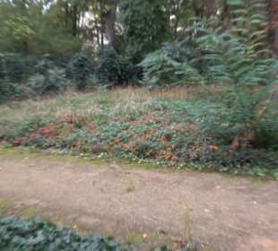 Gedenkstätte Alter Jüdischer Friedhof