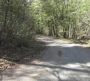 Waldlehrpfad an der Lauter