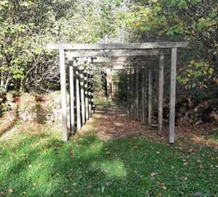 Wellnesswald Waldachtal