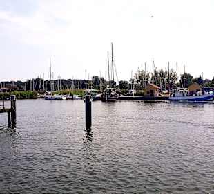 Apollo Tagestour zur Greifswalder Oie 