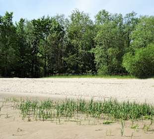 Eindrücke vom Strand der Insel Krautsand