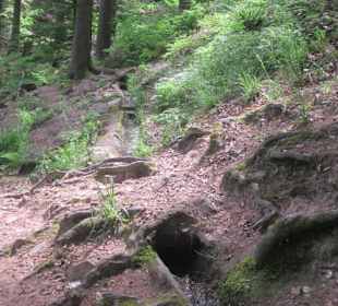 Zulauf Wasserfall am Hilschweiher
