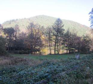 Der wunderschöne Helmbachweiher