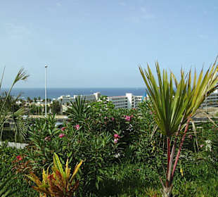 Ausblick vom Siam Park in Richtung Hotel