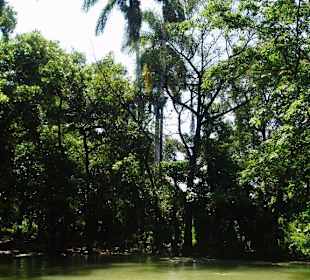 Landschaft zwischen Santo Domingo und Haiti