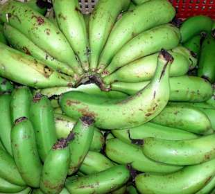 Rundgang über den Marché forain du Front de Mer