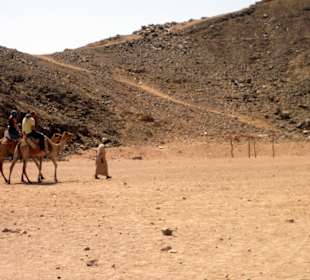 Ausflug in die Wüste