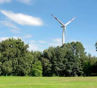 Spaziergang um den Waller Feldmarksee
