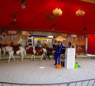 Ponylaufen hasse den Laden