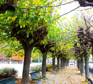 Die Uferpromenade