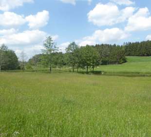 Rundwanderung Petersberg