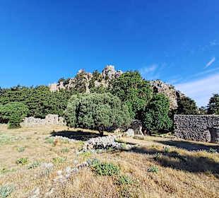 Palio Pyli