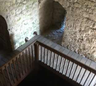 Burgruine Bussen Offingen