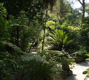 Blick in den Park 