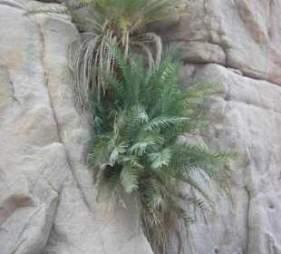 Private Jeep Safari mit Your Private TOURS EGYPT