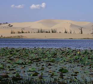 Weiße Dünen mit Lotussee
