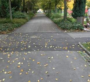 Hauptfriedhof Friedrichshafen