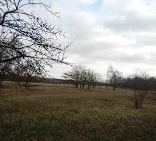 Naturschutzgebiet Boberger Niederung