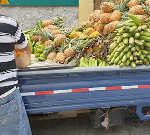 Tour & Ausflug Bayahibe