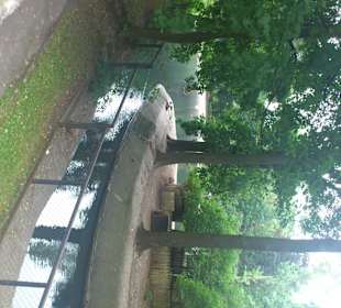Зоопарк